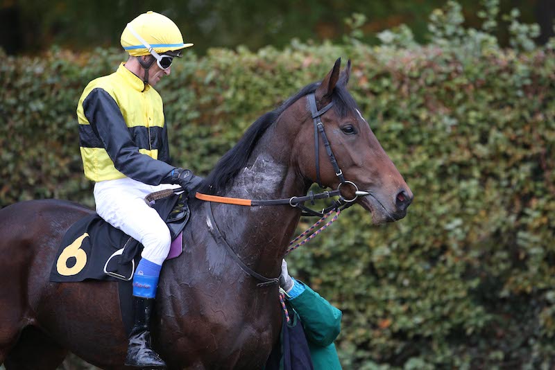 Die Generalprobe des Derbysiegers? Bavarian Classic in MĂŒnchen als Top-VorprĂŒfung fĂŒr das Rennen des Jahres