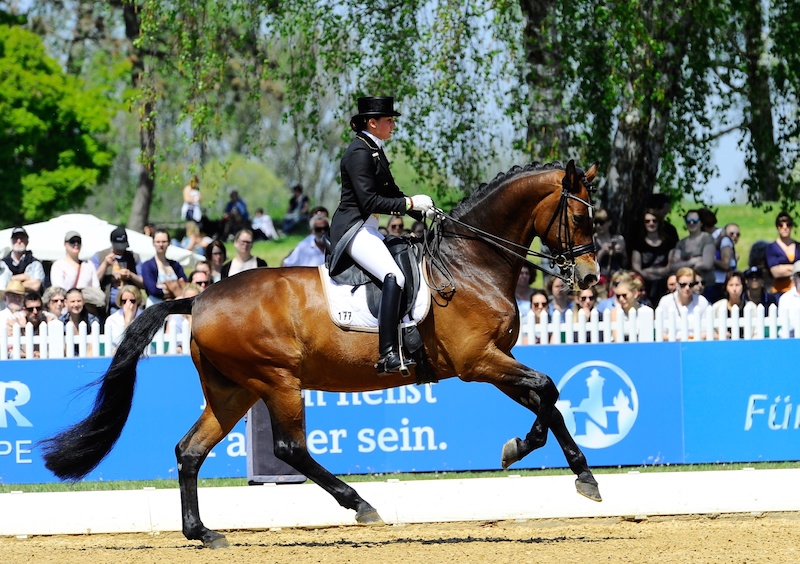 Premiere in Riem: Piaff-Förderpreis macht Station bei Pferd International MĂŒnchen