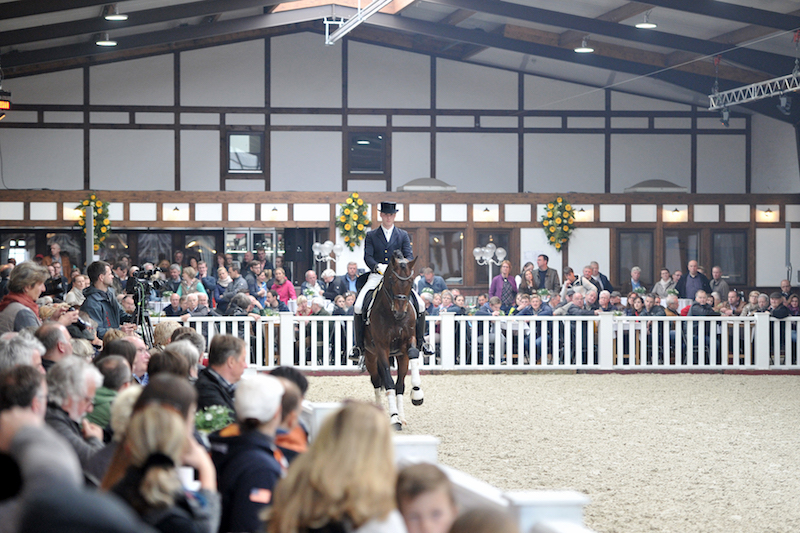 Vorbereitungen Züchterfrühling in Lodbergen in vollem Gange
