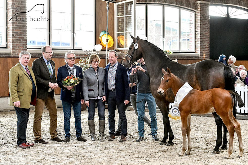 Sosath's Schauprogramm, Hengste und Fohlenchampions live bei ClipMyHorse +++ Team trotzt der Wettervorhersage