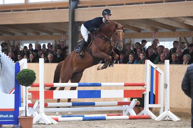 Hengststation Maas J. Hell – Tag der Offenen Tür mit Junghengstpräsentation