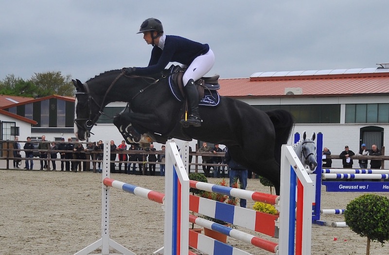 Beste Aussichten für Pferdezüchter – Junghengstpräsentation Stall Hell