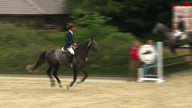 Cohinoor gewinnt BuCha-Quali in Bovenau