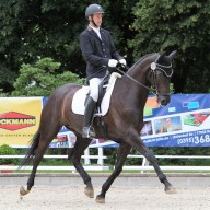 Riesenandrang für das 28. Landesturnier in Redefin