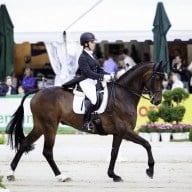 Luhmühlen: Bettina Hoy führt in beiden Prüfungen nach Dressur