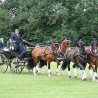 Boyd Exell wie vom anderen Stern – Führung nach der Dressur