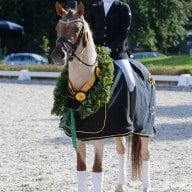 Tübingen: Pferdezüchter ermitteln die zehn Nachwuchschampions des Jahres 2017