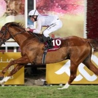 Dortmunder Sommer Grand Prix mit Top-Besetzung: 30. Großer Preis der Wirtschaft: Starke Gegner für Vorjahreszweiten Noor Al Hawa