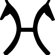 Das passende Pferd für jedermann – Verdener Auktion im 14./15. Juli an zwei Tagen