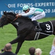 Dragon Lips: „Drachenflug“ in der Kölner Meilen Trophy – Wieder ein großer Treffer für Neutrainer Andreas Suborics in Köln