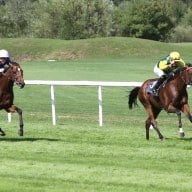 Deutscher Star-Galopper Iquitos ist auch der „Champion“ in München – German Racing Champions League: Imponierender Sieg im Großen Dallmayr-Preis