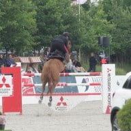 Gaudiano gewinnt Großen Preis – Ebel bester Mecklenburger