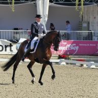Show Time mit Pferd am Friendships Familientag