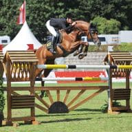 Verden International – Reitsportelite zu Gast