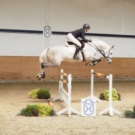 22. Juli Elmshorn – Holsteiner Summer Sales