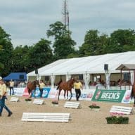 Herausragende Stuten und junge Tänzer setzen Maßstäbe