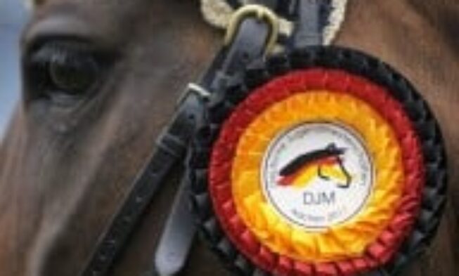 Der Countdown läuft – die Teilnehmer der Deutschen Jugendmeisterschaften Aachen 2017 img