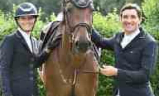 C & W Show-Jumpers – neuer Sportstall in Ibbenbüren img