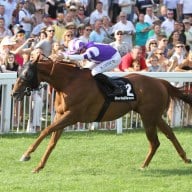 147. Sport-Welt Goldene Peitsche in Baden-Baden das Sprint-Rennen des Jahres