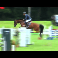 Schenefeld: Ahlmann gewinnt zum Auftakt mit Dooly bei den jungen Pferden