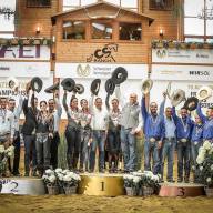FEI-Reining-Europameisterschaften: Deutsche Equipe gewinnt die Silbermedaille