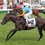 Derbysieger Windstoß trifft auf Iquitos – Hamburg grüßt Baden-Baden