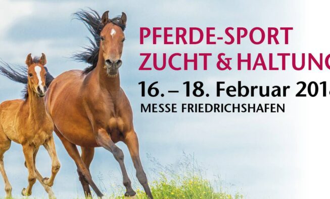 Pferd Bodensee in Friedrichshafen, morgen geht´s los! img