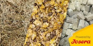 Raufutter, Kraftfutter und … Mineralfutter