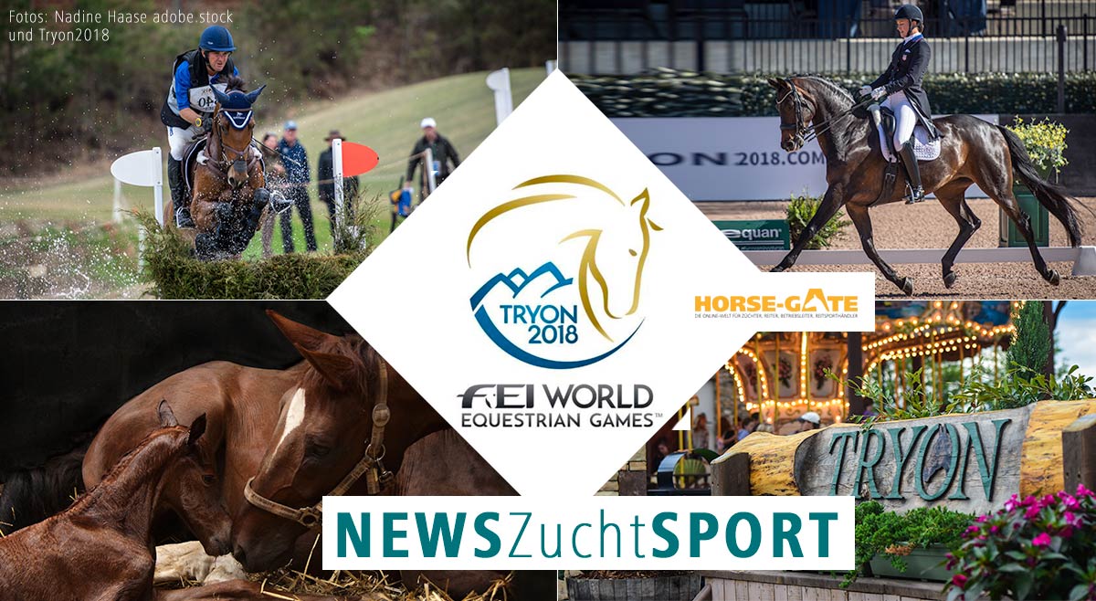Weltmeisterschaft in Tryon 2018: NEWS-Ticker mit dem Fokus Zucht