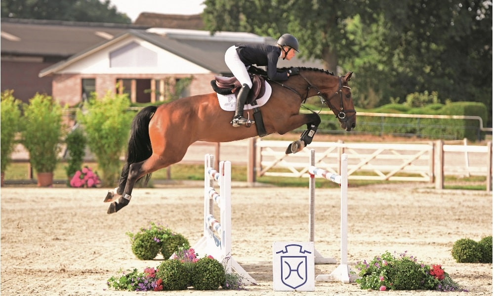 Auf nach Neumünster!