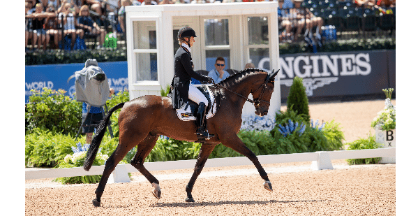 WEG Tryon: Vielseitigkeitsreiter in der Dressur vorne img