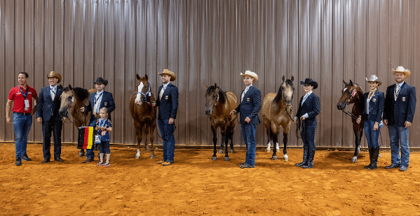 WEG Tryon: Reiner holen erste Medaille für Deutschland img
