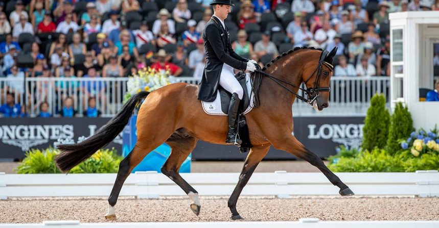 Cosmo: Bestes Springblut im Viereck img