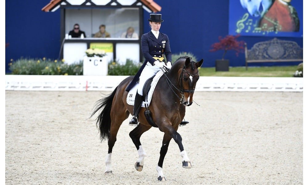 Klosterhof: Balkenhol und FRH Davinia la Douce gewinnen Grand Prix