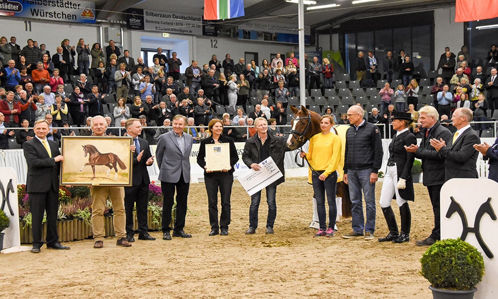 Hannoveraner Hengst des Jahres: Belissimo M