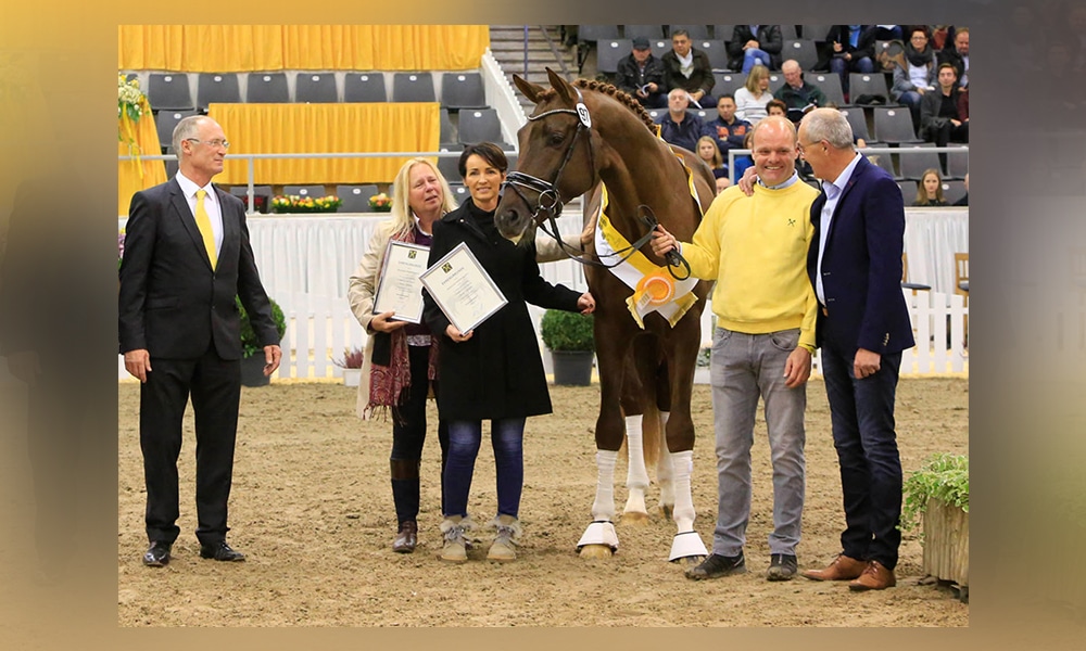 Verden bebt: Rekordpreis 2.010.000 Euro