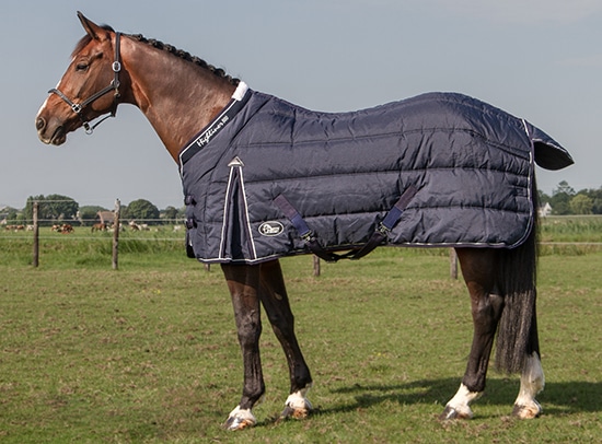 Verlosung Rider`s Edition – Harry´s Horse