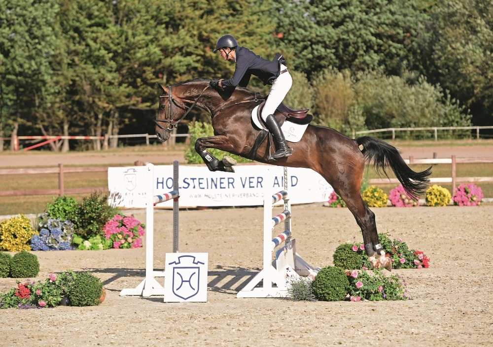 Holsteiner Elite-Reitpferdeauktion - Das Spitzenpferd in Spitzenhände