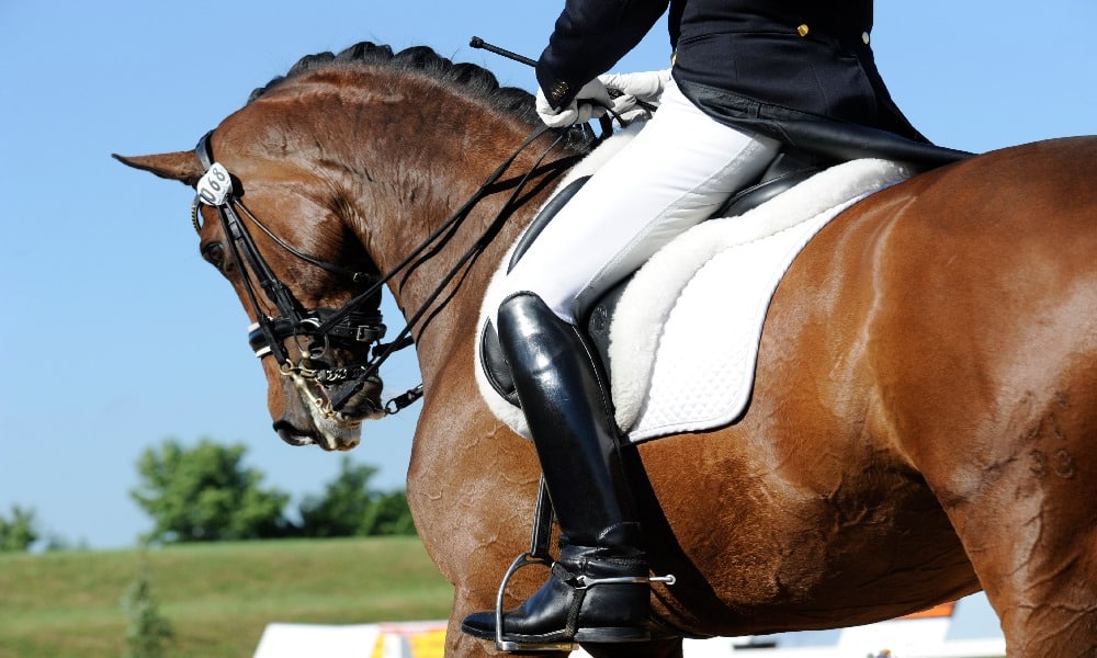 Spitzenergebnisse für Gaitano und Jovian bei HLP-Sportprüfung in Münster