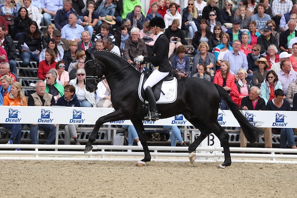München: Erfolg für Bon Coeur-Nachkommen