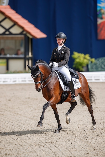 Tanja und Lukas Fischer starten mit eigener Reitponyhengst-Deckstation