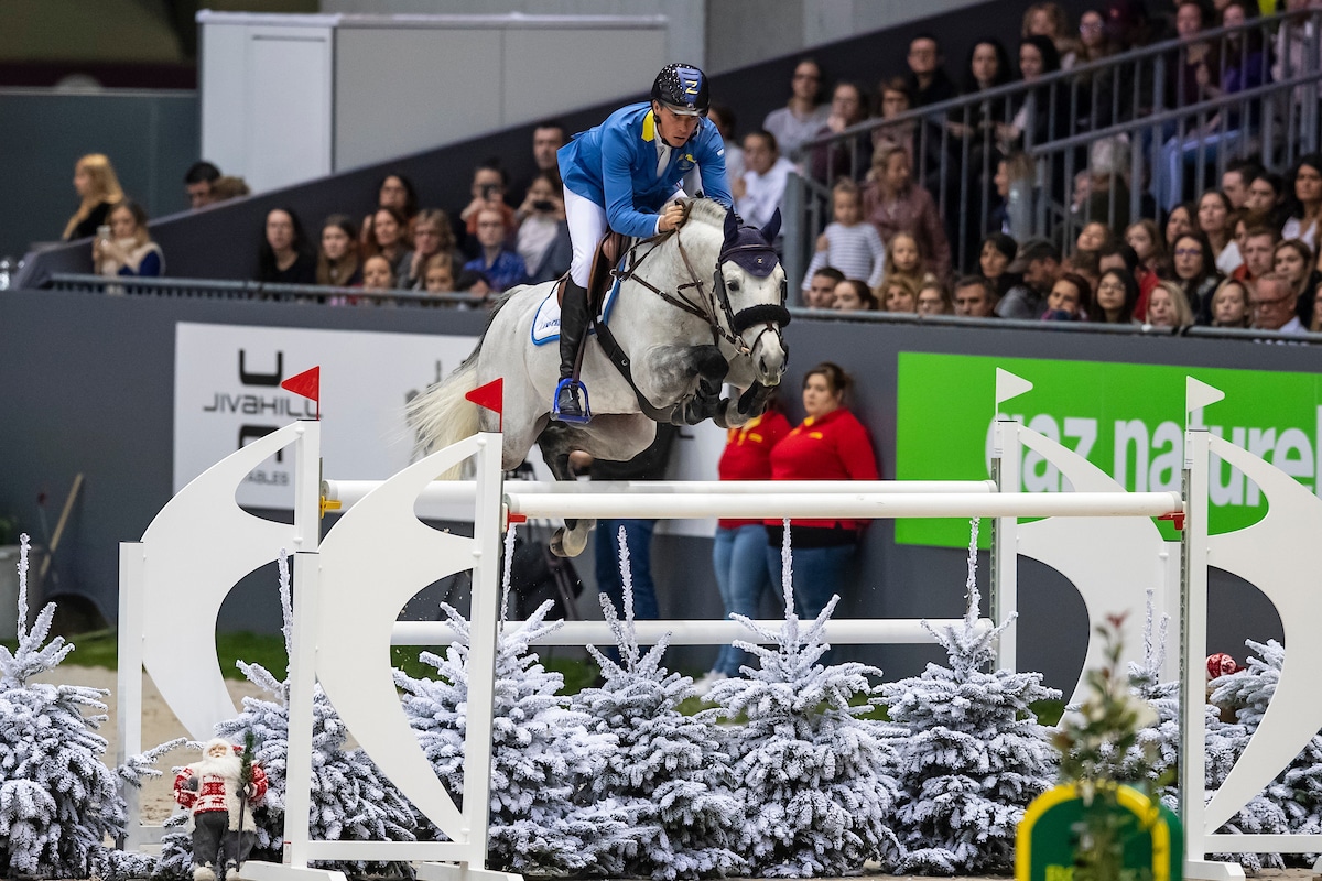 Der Hengst Clintrexo Z – Christian Ahlmanns „Neuer“