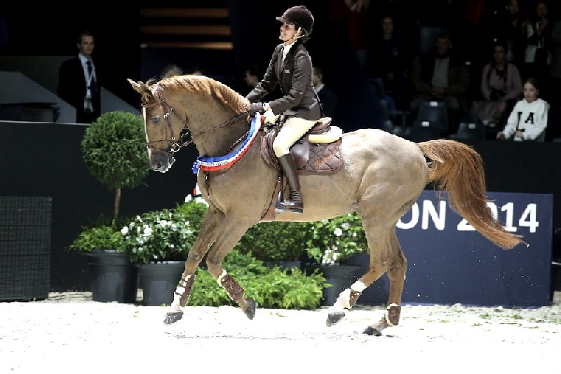 Unser HENGST DES MONATS im Februar – Baloubet du Rouet