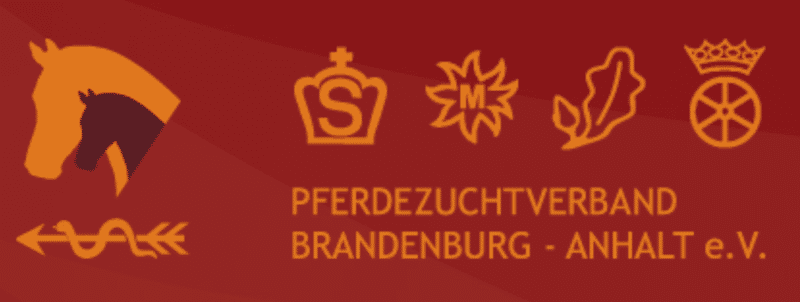 Antje Lembke wird neue Zuchtleiterin in Brandenburg-Anhalt