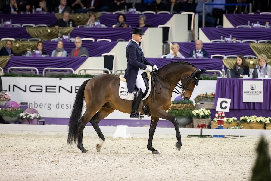 Trakehner Hengst Imperio wird Lehrmeister