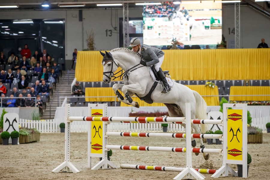 Grande-Preis für Landbeschäler Grey Top