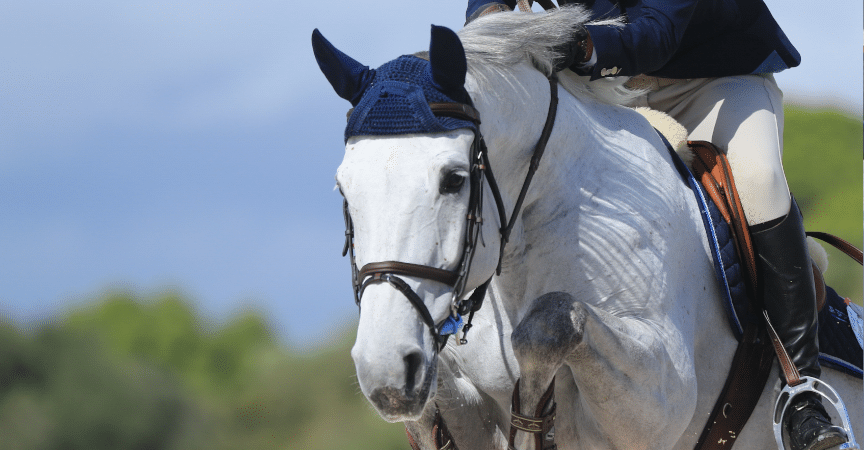 Hardenberger Burgturnier16.-19. Mai 2019