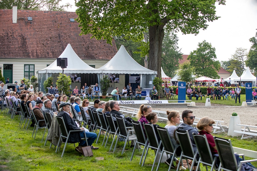 Überblick Mai - Qualifizierte Dressur- und Springhengste für das Bundeschampionat in Warendorf