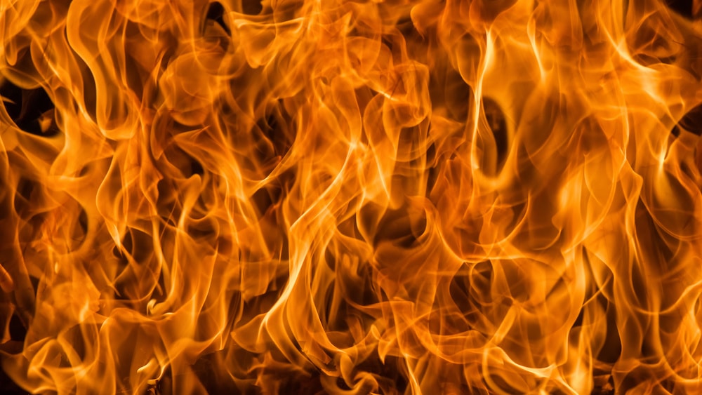 Feuer auf dem französischen Nationalgestüt Saint-Lô