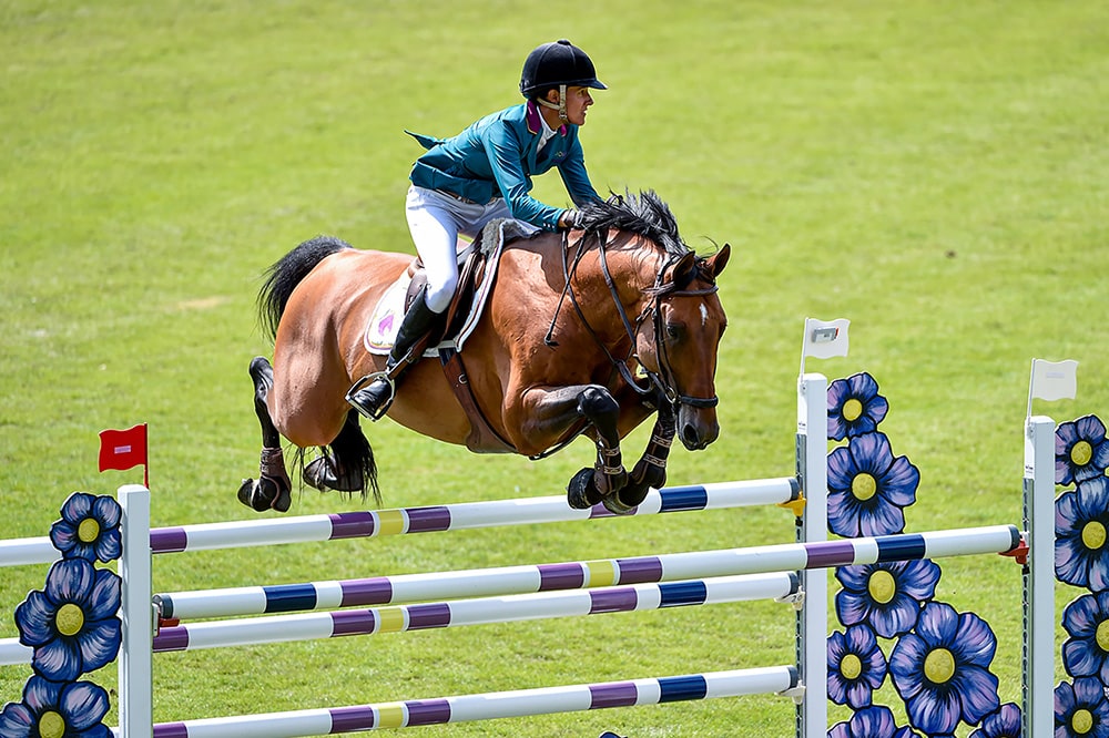 Camargo hat einen neuen Reiter: Nicola Philippaerts. Beim Turnier in Knokke werden der elfjährige Hannoveraner Canturo-Sohn und der belgische Jugend-Doppel-Europameister, Olympia- und WEG-Teilnehmer zum ersten Mal gemeimsam an den Start gehen.